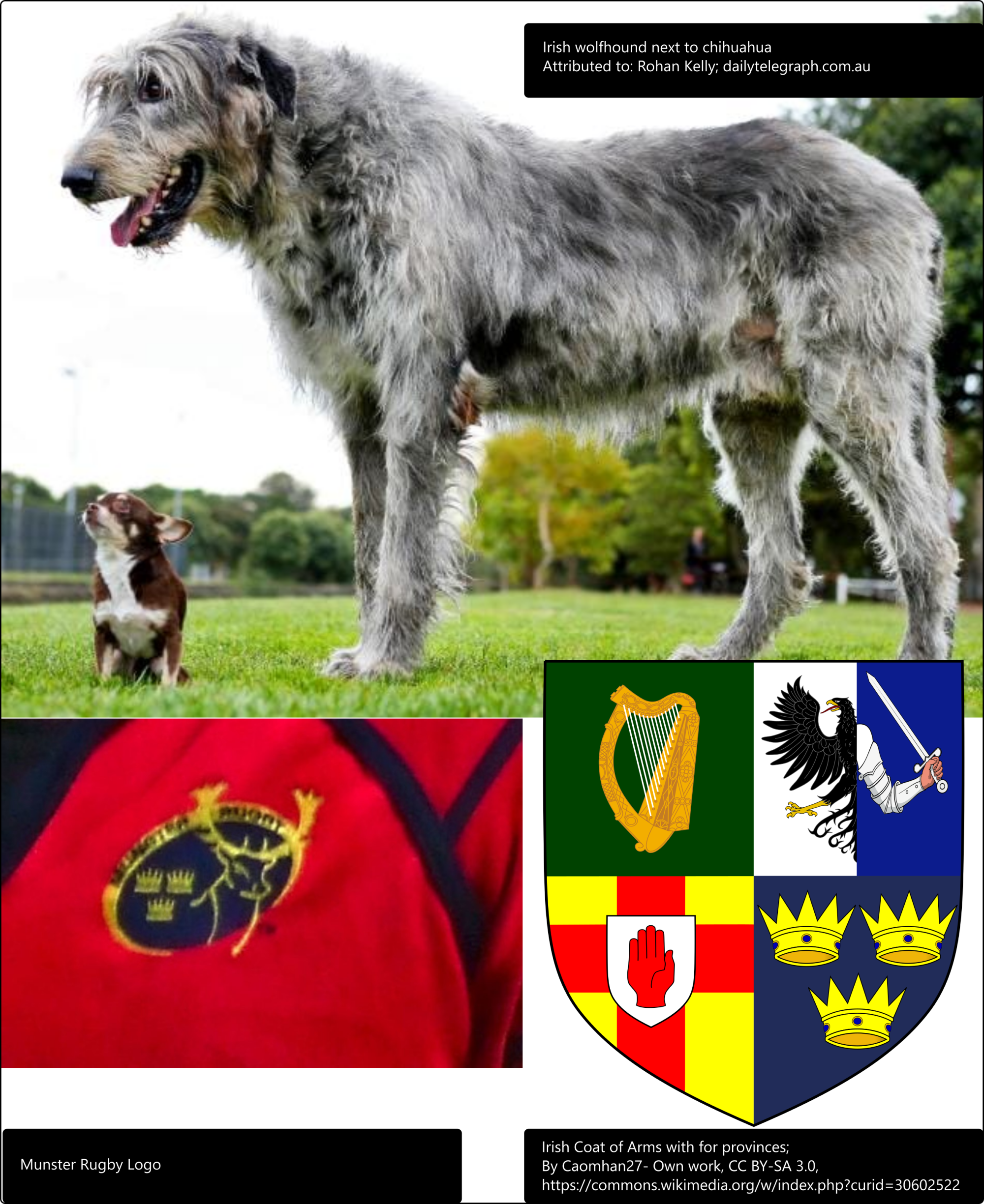 CRG logo collage
